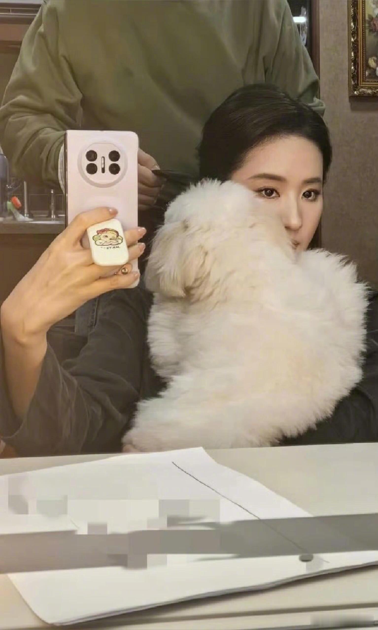 刘亦菲的狗狗挂件，看了半天还以为是毛领