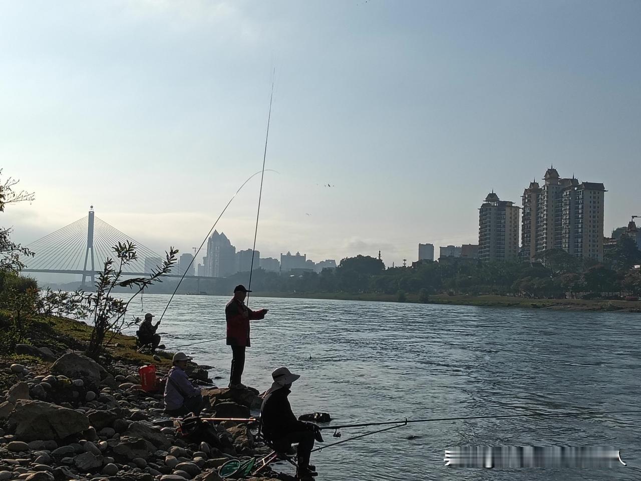 朋友又找我借钱了，比发工资准时。不多，2000块钱到信用卡，第二天准会还。我