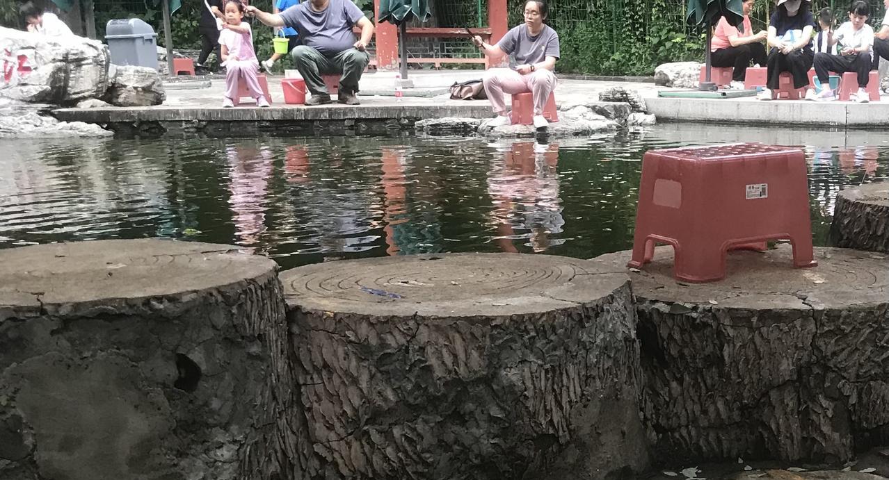 在公园干这生意不错，包一个水池子，里面放上若干金鱼，40元一个小时掉金鱼，掉的上