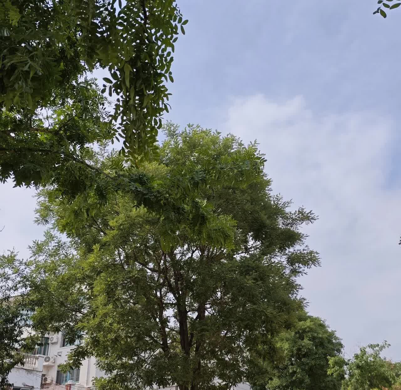 人性的丑陋早晨起来，去了一趟早市。刚进早市，就发现前面一伙人，在那吆五喝六的