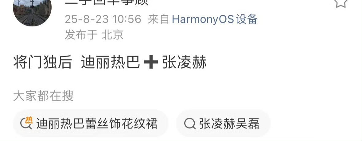 迪丽热巴张凌赫将门毒后如果是这个组合，那这个戏可以不用看了。不说每个角色都要求