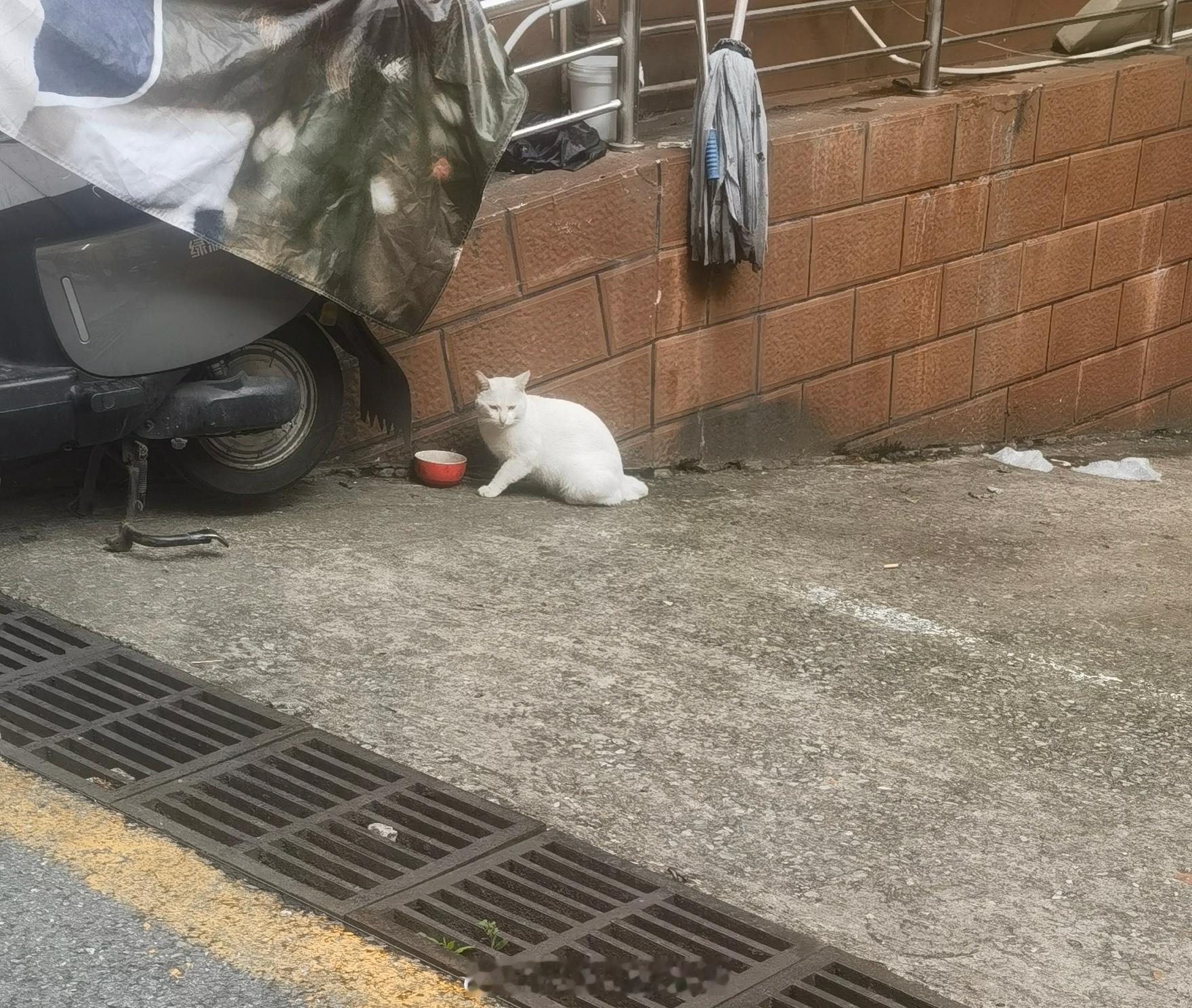 在我爸管辖的小区门卫室坐着等我奶奶和大娘（也就是姑姑）～晚上要去亲戚家小孩十周岁