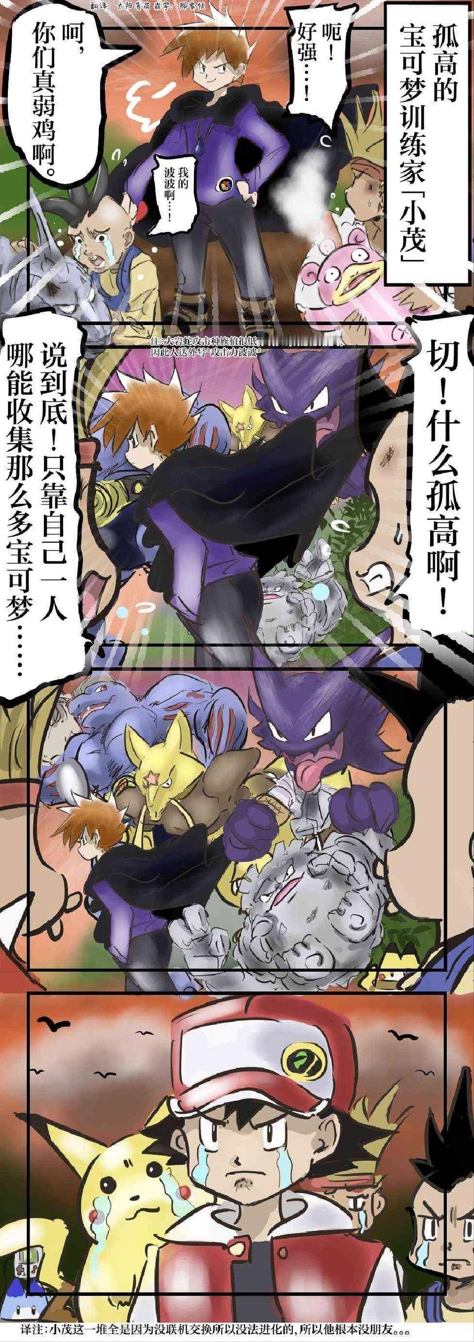 孤高宝可梦训练家​​​