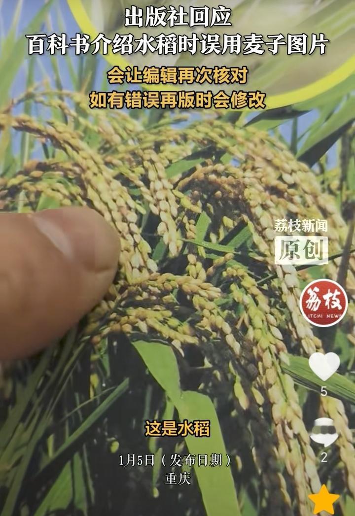 离谱了！重庆，百科书中介绍的水稻，被农村男子发现了不对劲，明明是介绍水稻，结果确