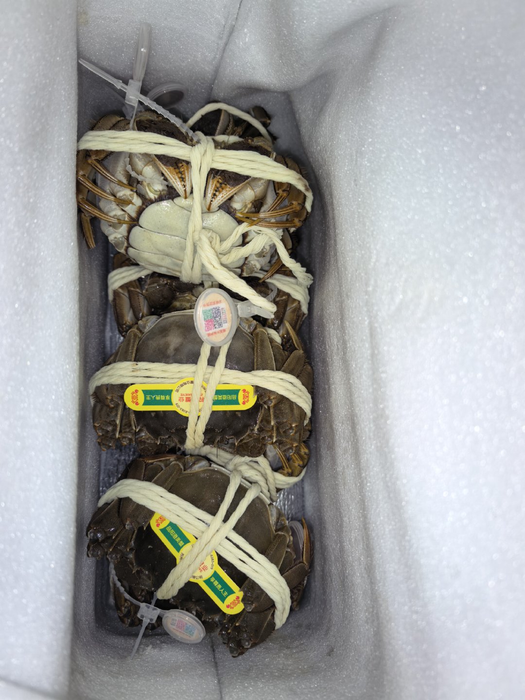 大闸蟹好好吃！！图3这家，自己吃或者送人都可以，包装很精美！很新鲜蟹黄特别香，而且螃蟹很干净洗起来也