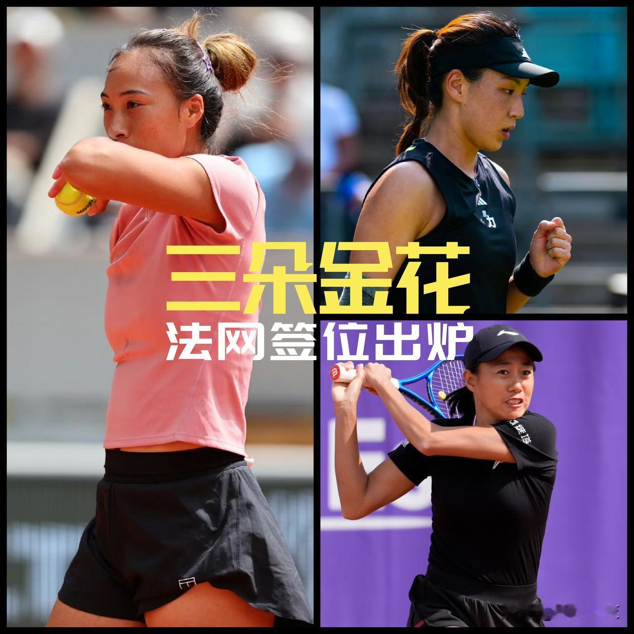 【上上签！三朵金花法网签位出炉！】郑钦文和张帅双双落位6号种子阿尼西莫娃分区