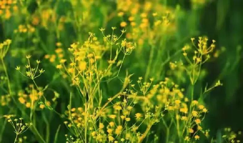 总有一段感情，藏在平常日子里，不声不响却特别打动人。就像突然遇见一个人，那一眼就