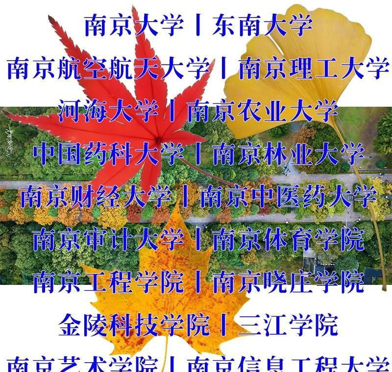 南京各高校里的秋天：谁更静谧、更有书卷气图2：南京大学丨东南大学图3：南京航