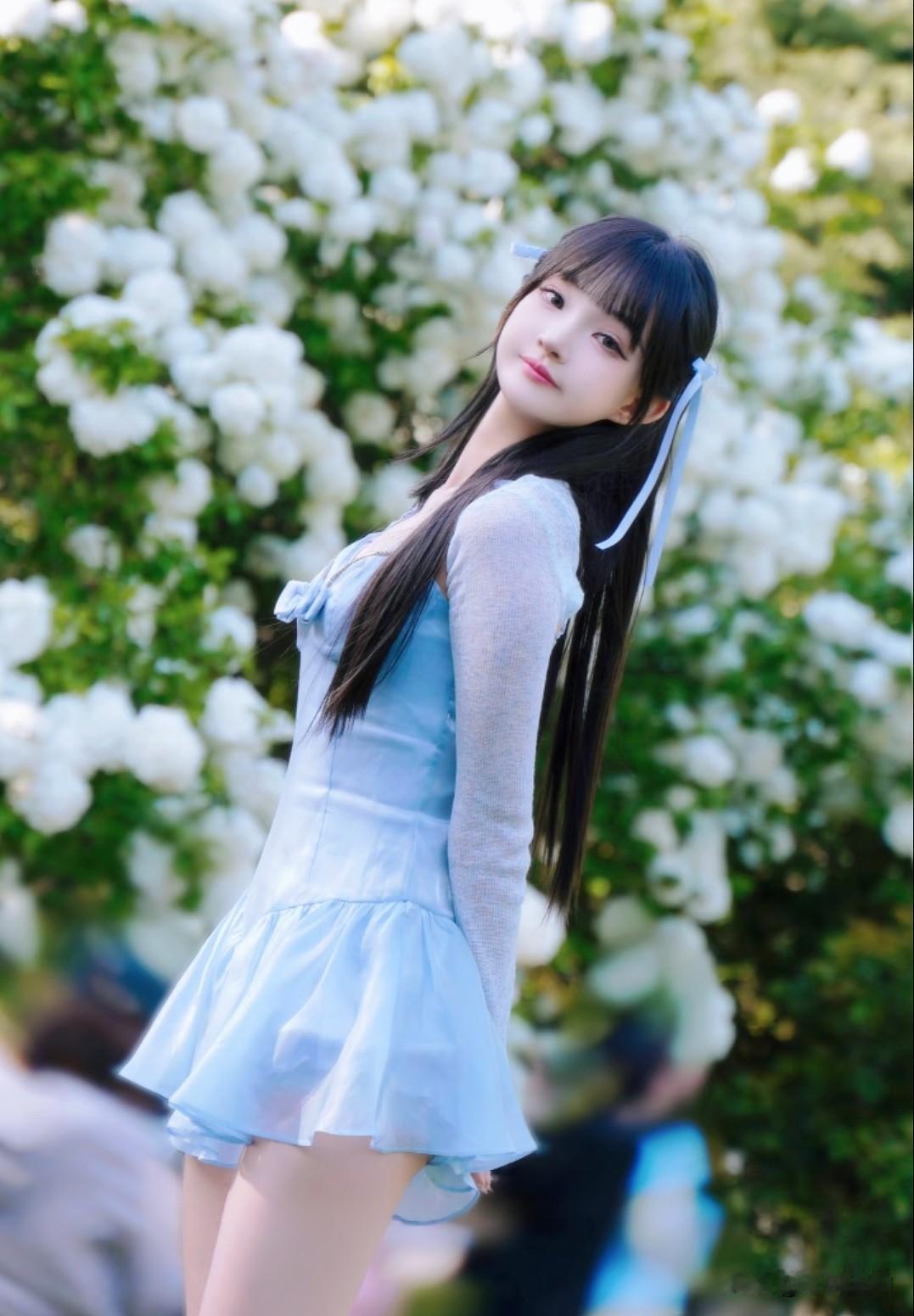  被木绣球花海包围的蓝裙少女，这组春日写真美到犯规！
