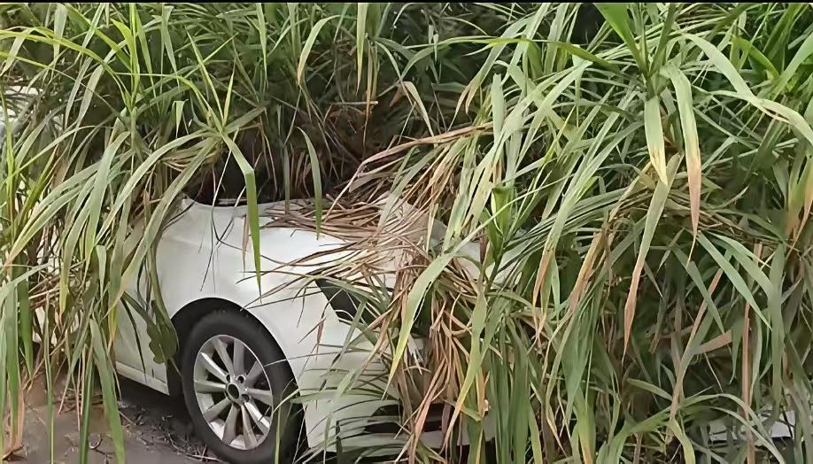 实在没钱就别买车了，买了车不光没办法给生活带来更好的感受，反而会让你变得越来越焦