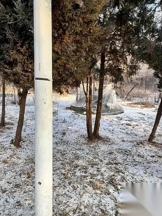 沈阳六十来岁的大爷，太“倔”！铁西森林公园的凉亭，他居然熬到12月？