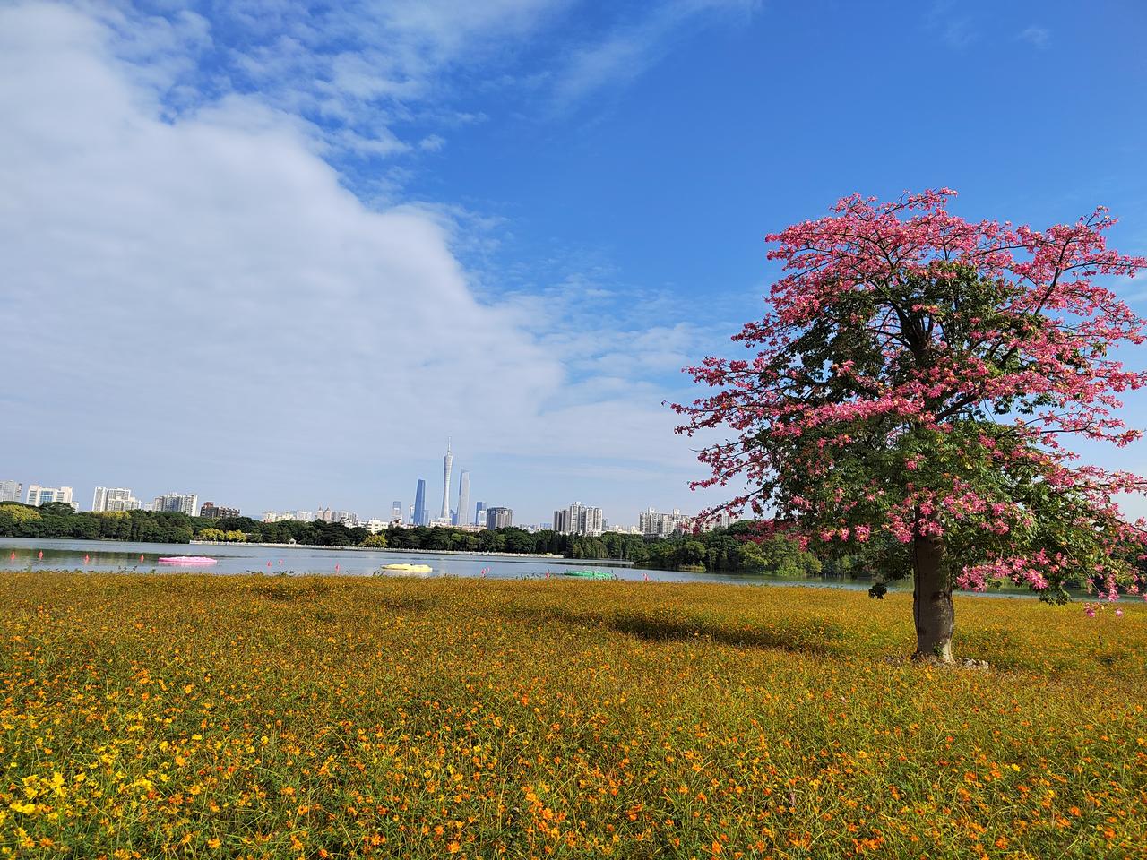 转眼，最早一批60后已年近花甲，步入人生下半场。这代人吃过苦、受过累，大半辈子