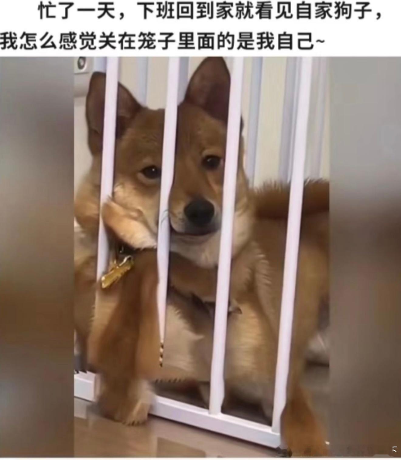 7077好像是这种感觉​​​