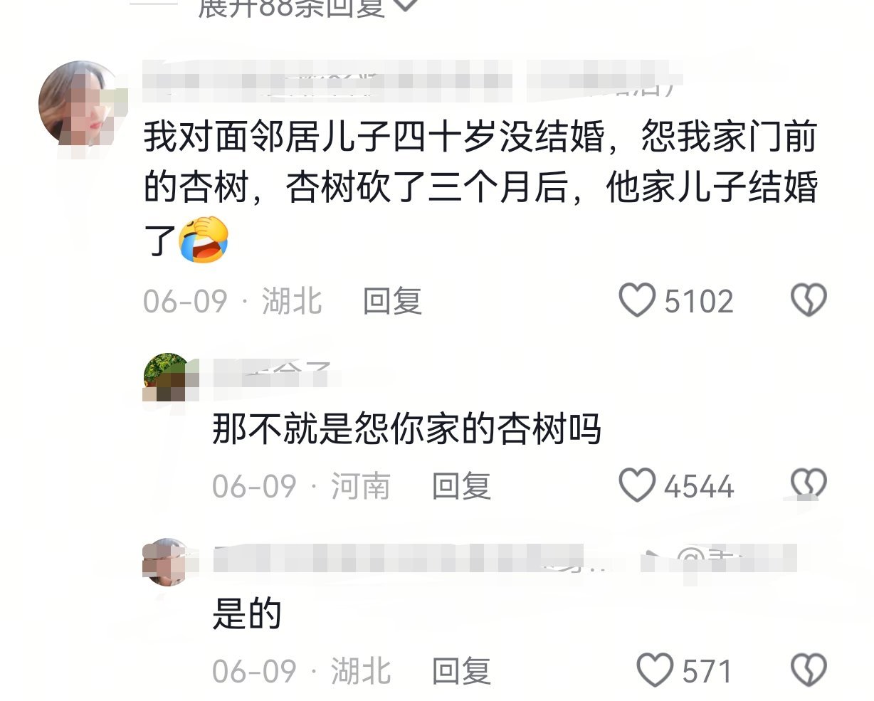 评论区楼主说她家杏树对着大门口，邻居儿子结不了婚，让她家砍了。她真砍了，三个月后