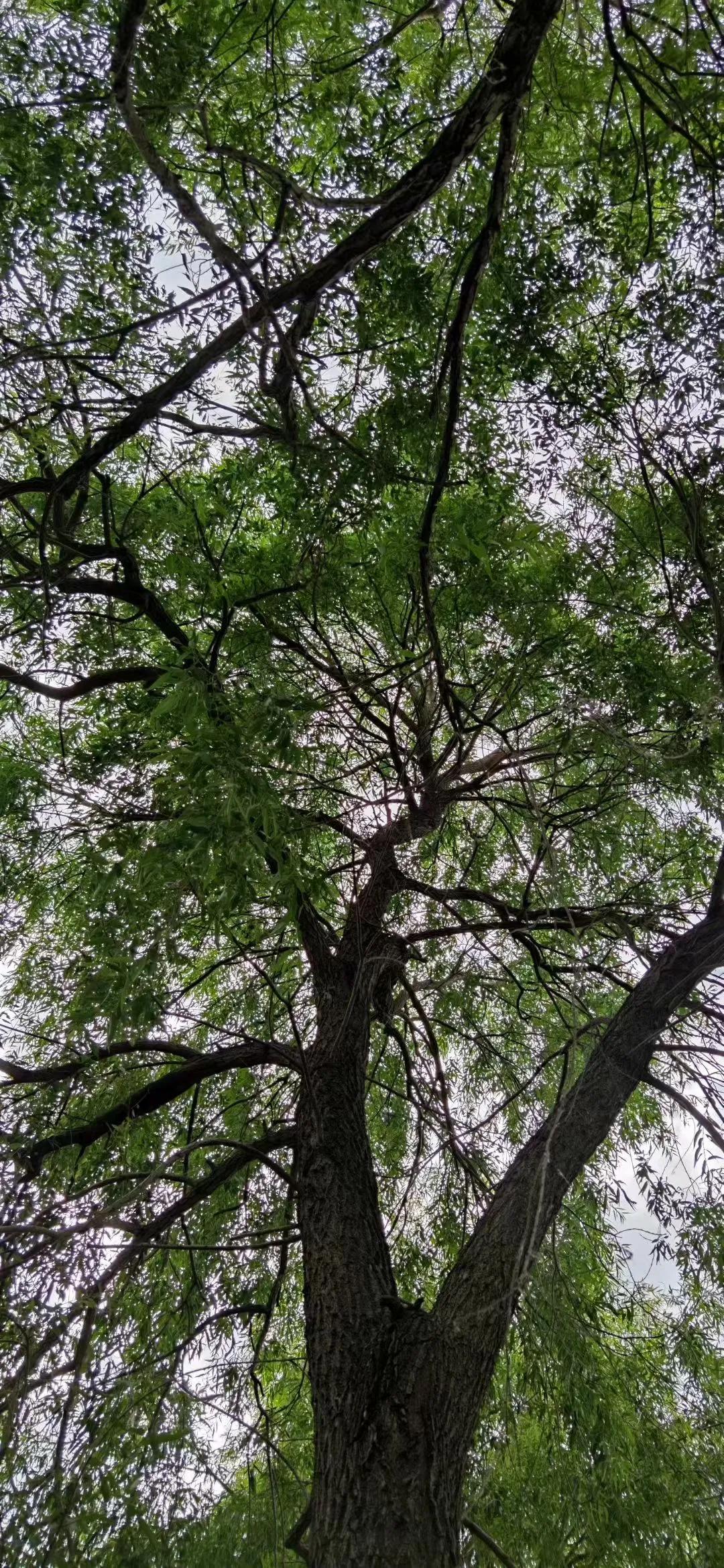 早上醒了，不愿意起，想起了旧事。先是想到了前两天整理衣柜的时候，发现