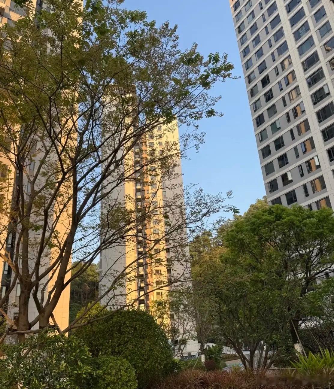 小区531户仅25户交物业费业主发声今天在催业主交物业费的时候，有位业主说出他不