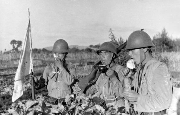 1937年9月，应该是在淞沪会战期间，三头鬼子兵正在菜地里啃食茄子！值得注意