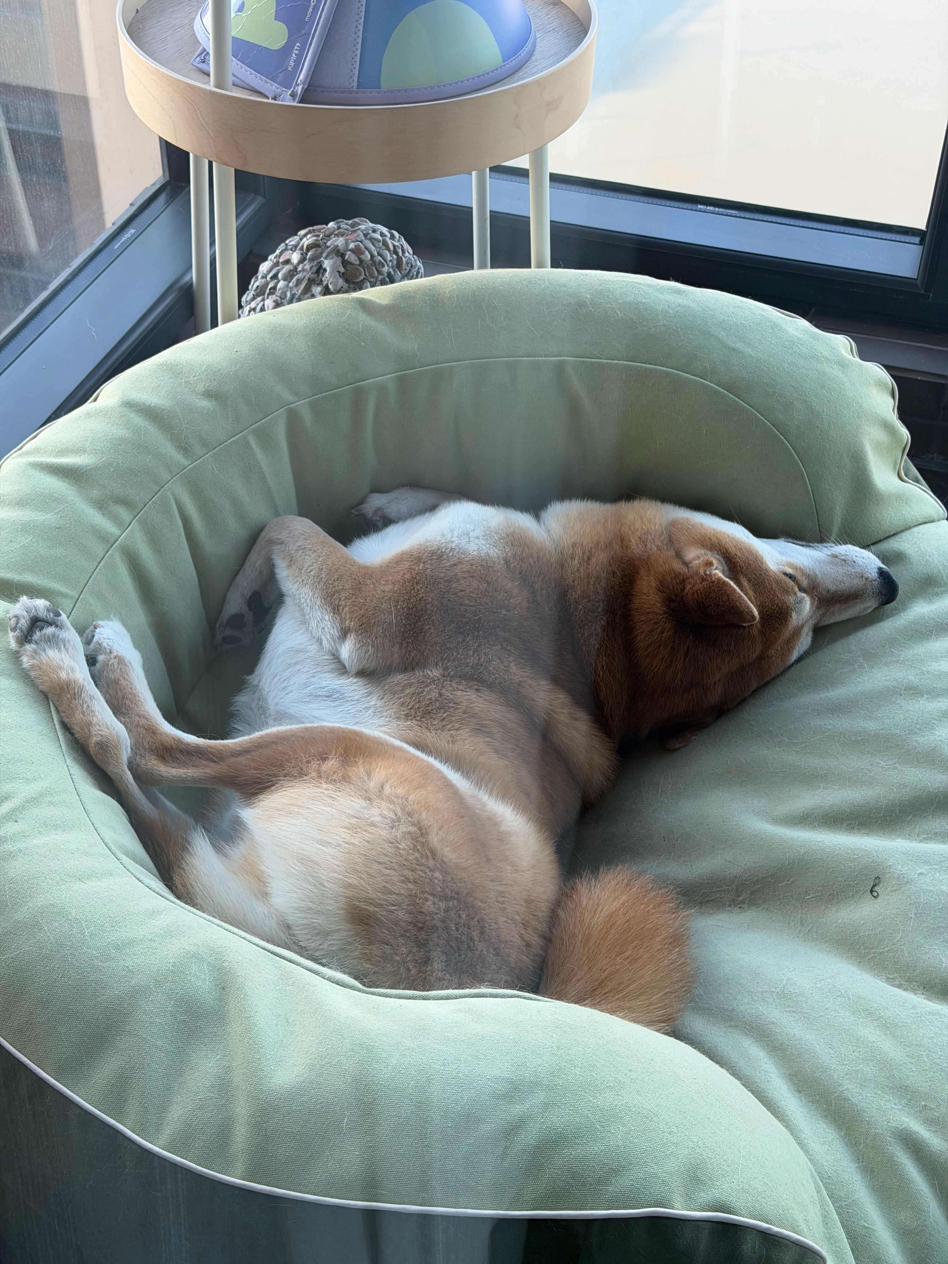 梦见什么好吃的