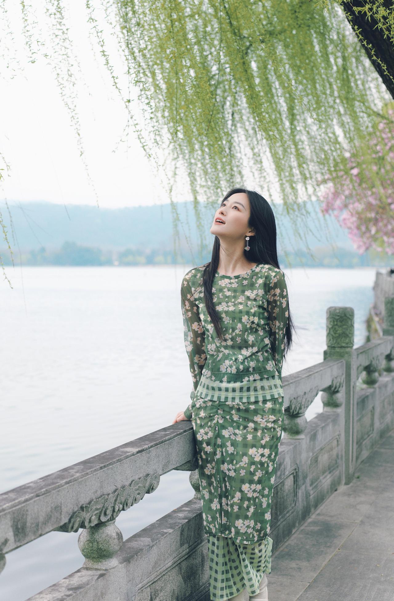 湖畔垂柳拂，花影入梦来。