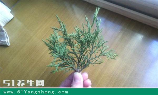 省钱不染发的好方法, 只需洗头时放几片它, 白发慢慢变黑发!