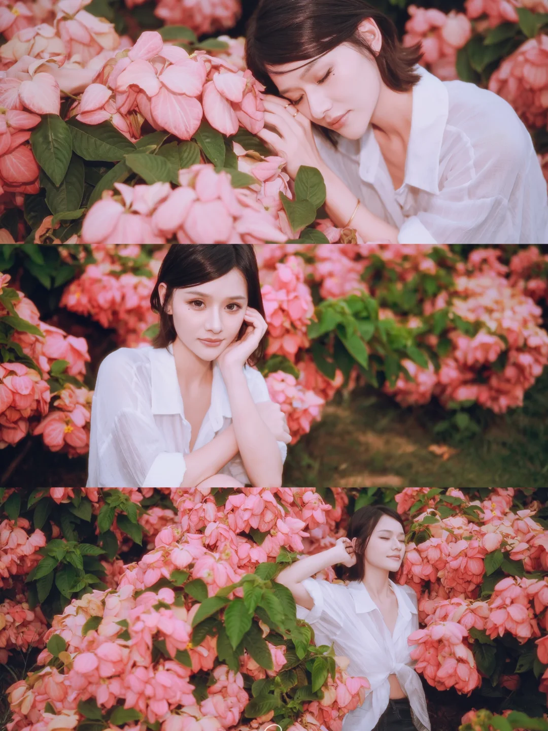 粉紙扇花海｜把夏天的温柔都装进镜头里