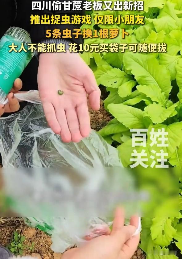 四川这位曾被偷甘蔗的老板又整出新花样了！之前自家甘蔗总被偷，老板没生气反而玩出创