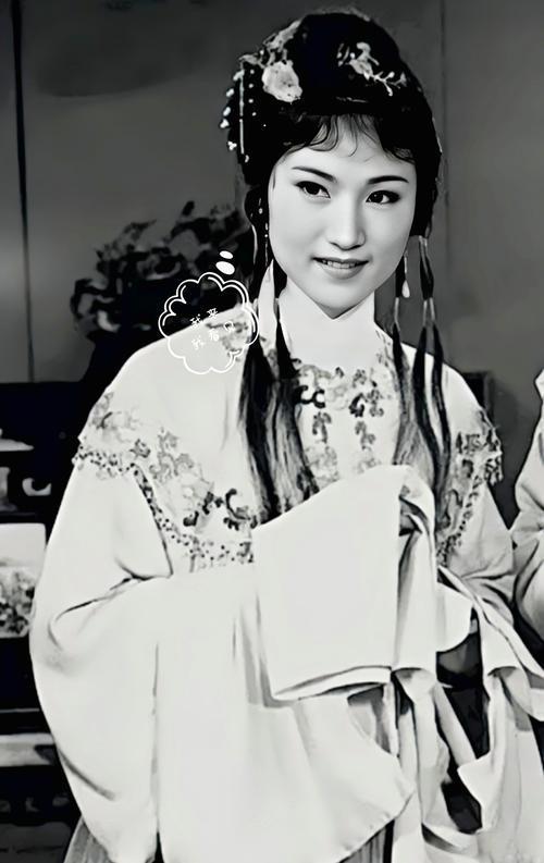 《红楼梦》中林黛玉，由两位演员王文娟和陈晓旭饰演，分别代表戏曲舞台与影视荧屏，两