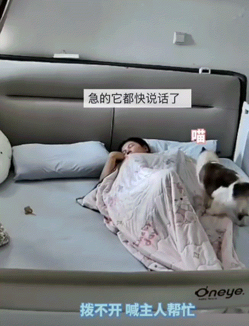 太有灵性了！山东，一几个月大的宝宝和妈妈睡觉，可宝宝翻身时不慎被被子蒙住了头，但