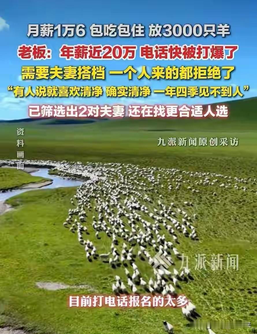 牧场开出夫妻月薪1.6万招放羊工，包吃住有社保，已经找到两对夫妻，还在招人，看完