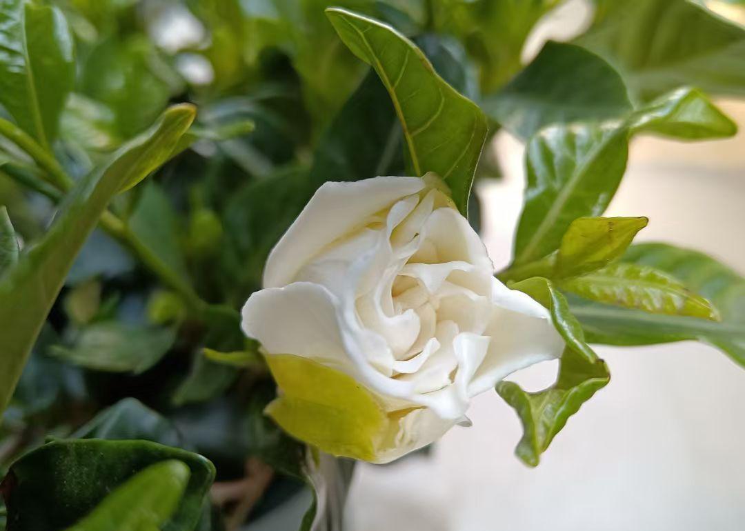 百万自媒体在抢饭碗,可饭碗越来越小了。15秒能火,3分钟没人看,不是观众没耐心