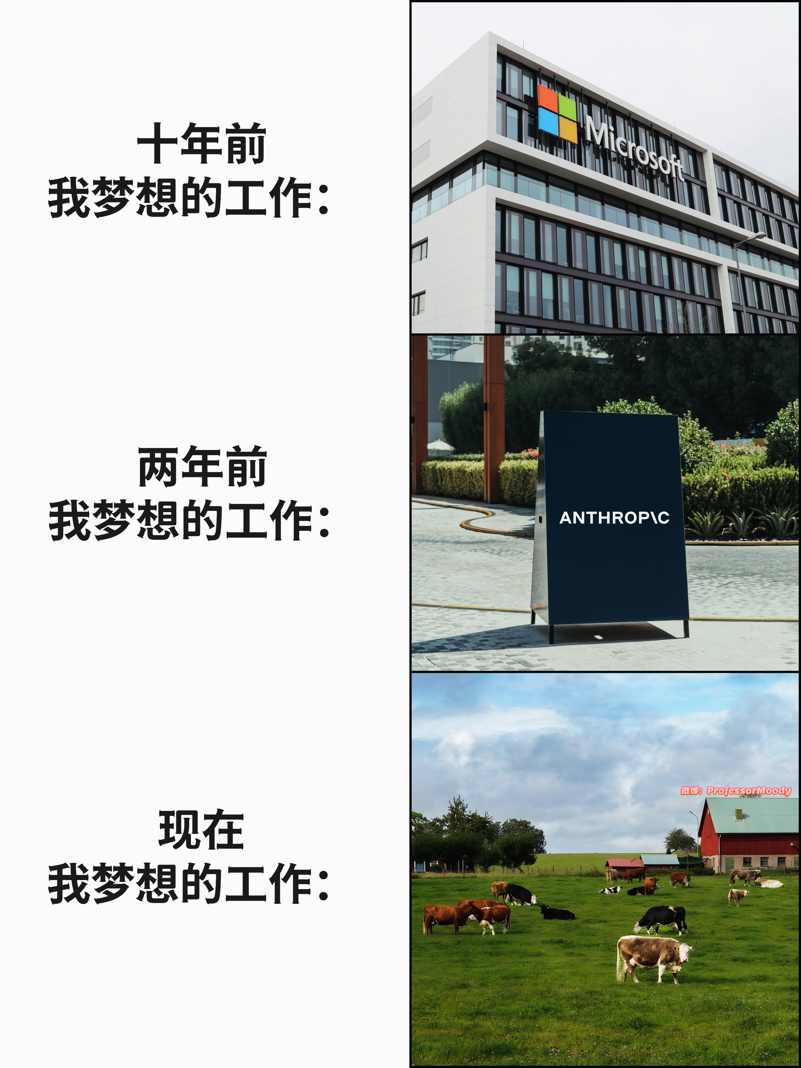 回归田园meme​​​