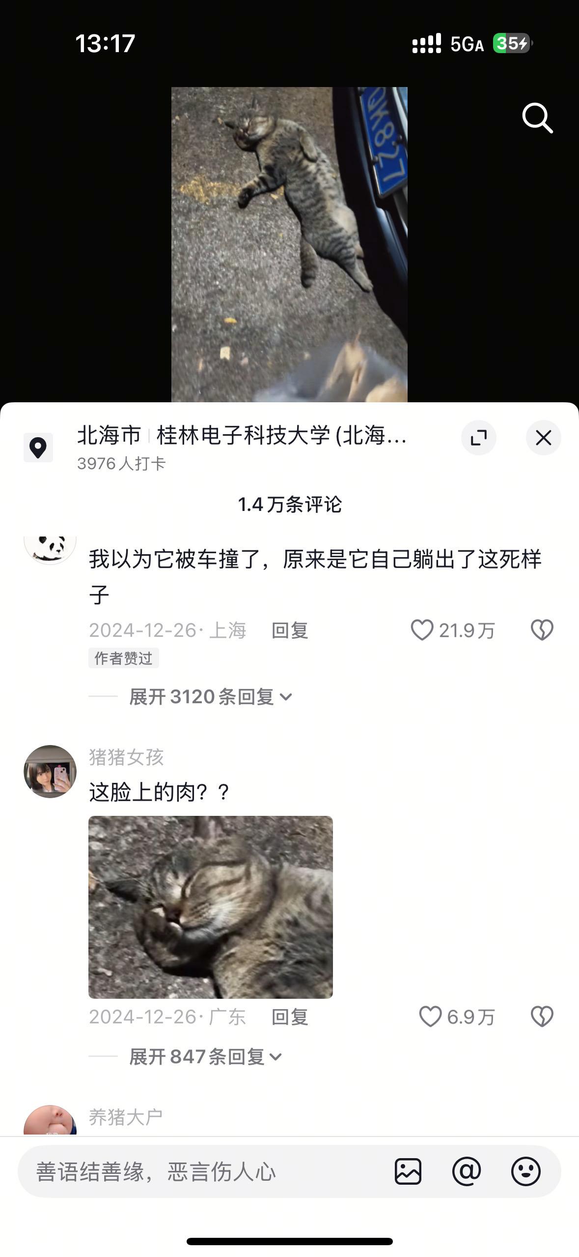 哈哈哈哈，网友以为被撞的，结果是在睡觉