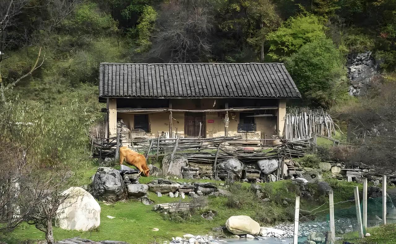 去秦岭山里转了一圈，发现脱贫攻坚、易地搬迁之后，一些老人又悄悄回到大山里居住了，