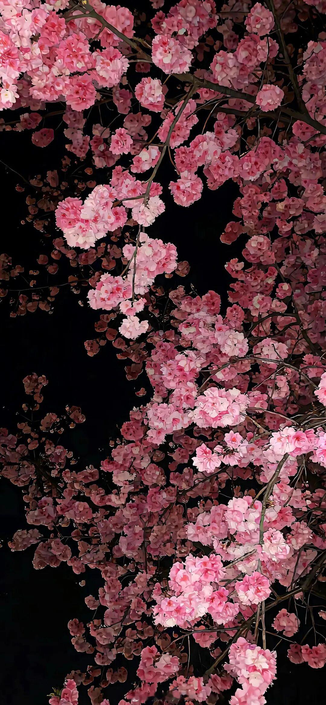人有时候只是静静地待一会儿，悲伤也成享受。——史铁生《合欢树》早安
