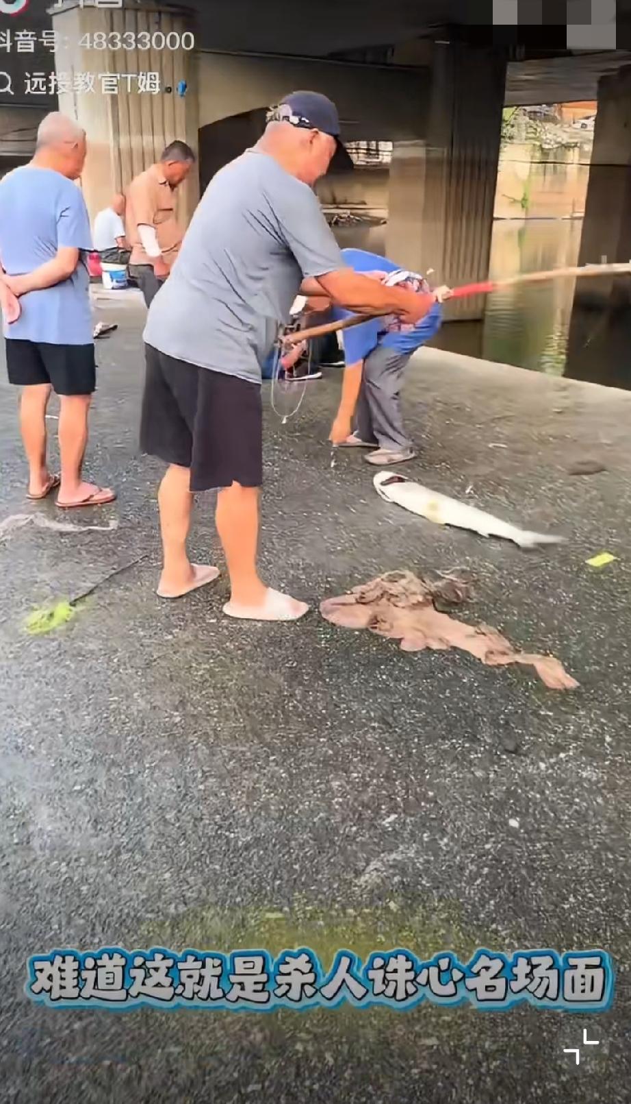 你说你，这路亚竿，这巨物翘嘴…谁不生气啊，我不会钓鱼也生气…[捂脸哭][捂脸哭][允