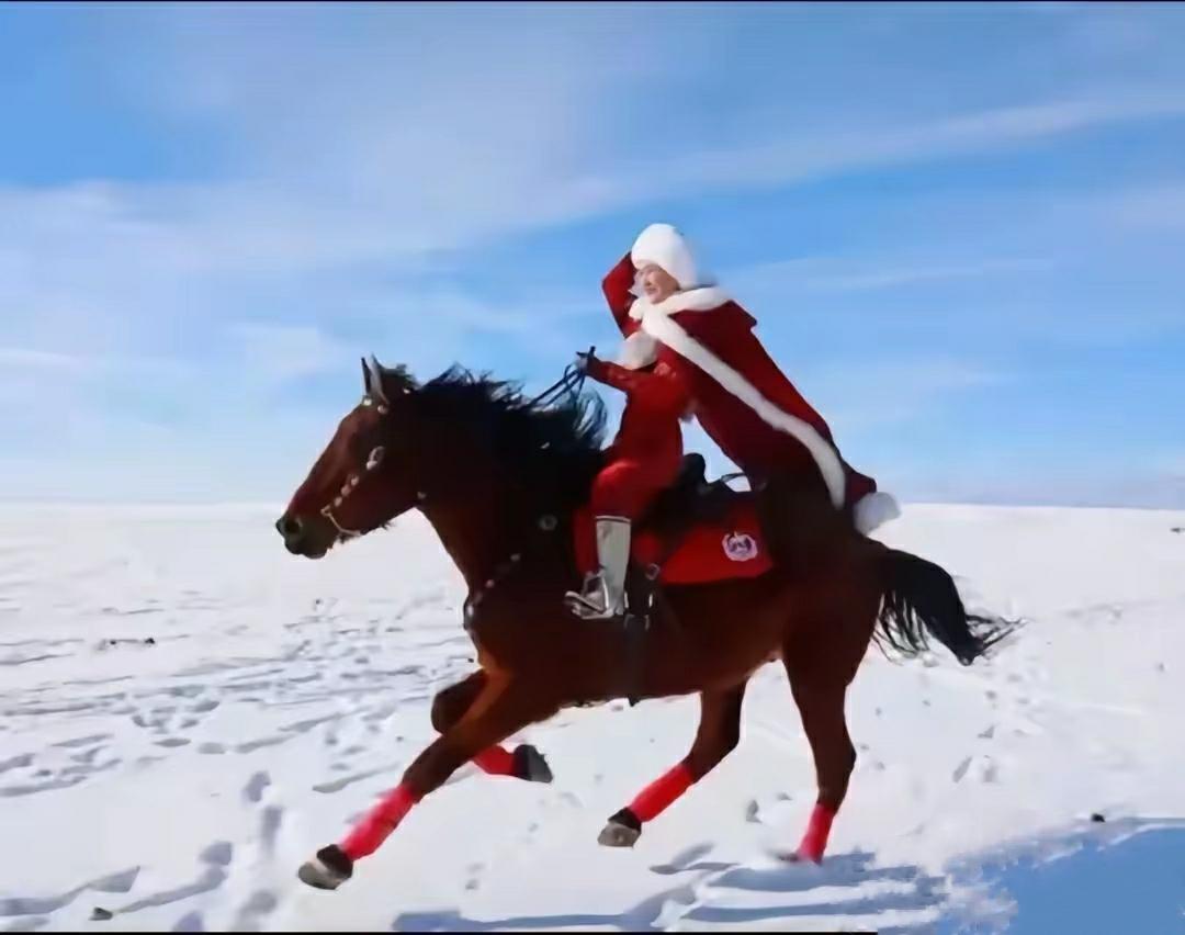 原来，贺娇龙是被马踢中头部才导致最终离世的，真是成也马，败也马，因为骑马