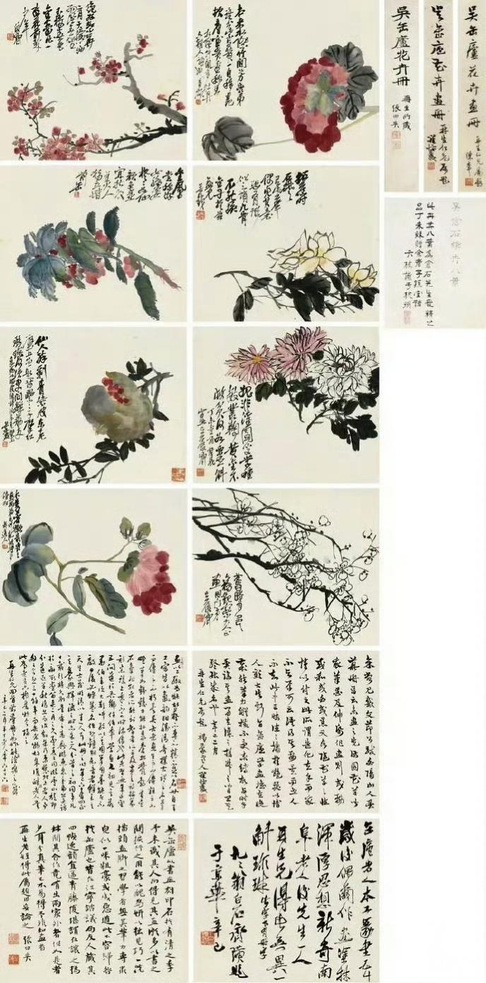 吴昌硕《致三多花卉册》欣赏国学智慧绘画