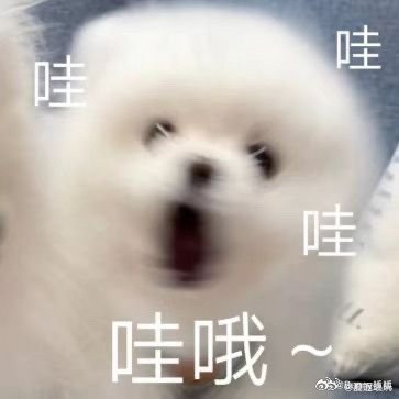 发明买连衣裙妙招的人真是天才不会搭配的小白也能用上这个办法，不光教怎么挑尺码版