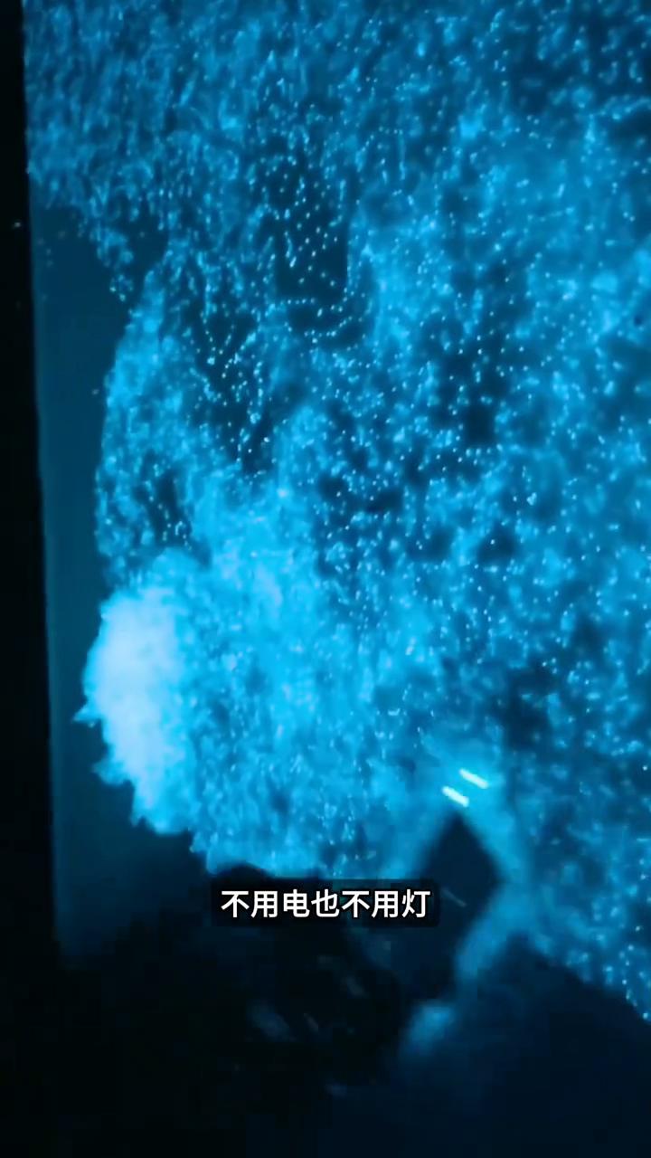 谁能想到一面看起来普通的墙到了晚上居然会自己发光，不用电也不用灯，整整亮上8个小