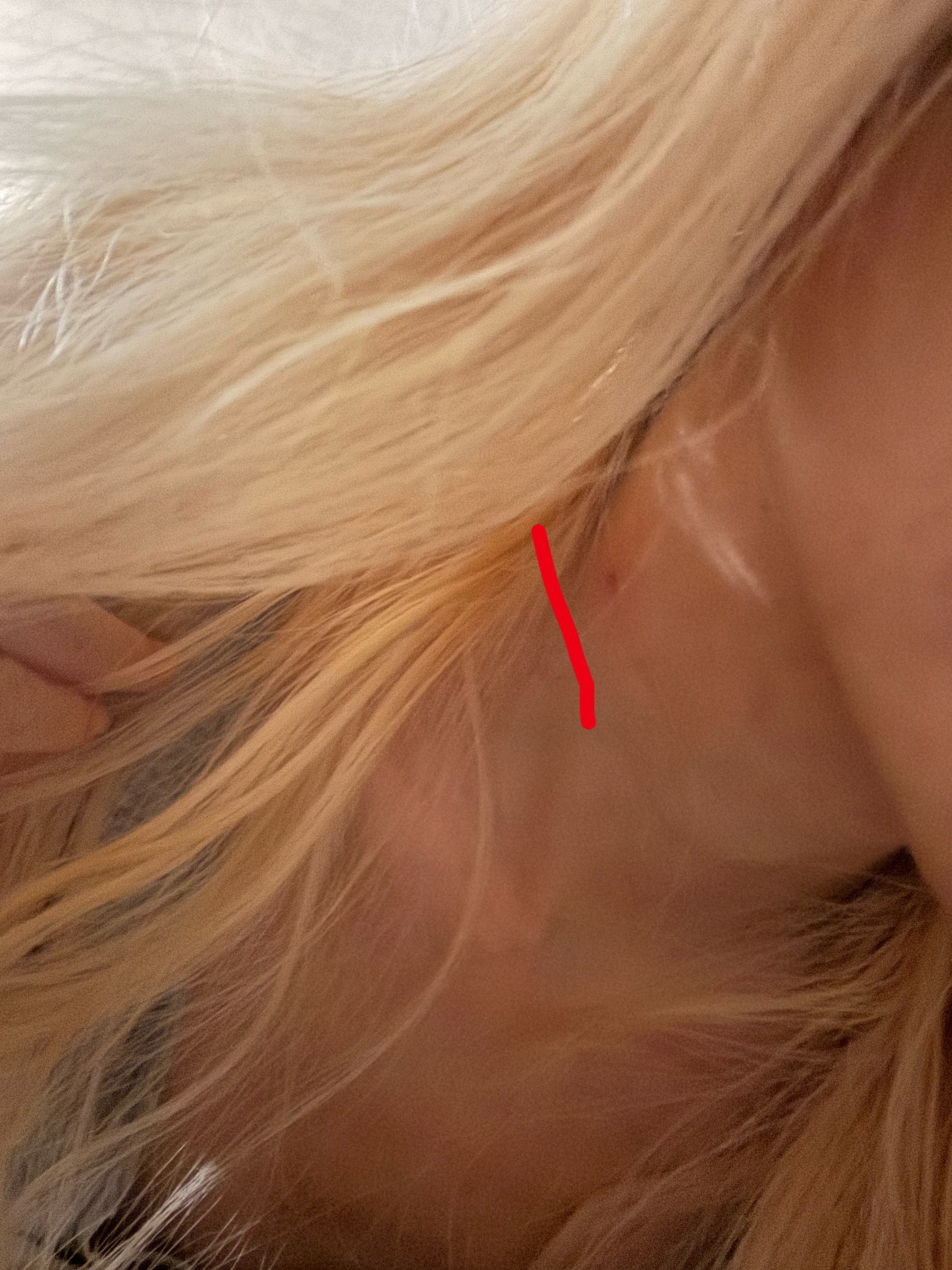 世界倒数第一有耐心剪指甲剪豁口了也懒得磨顺头发的时候把脖子划了一道高效无