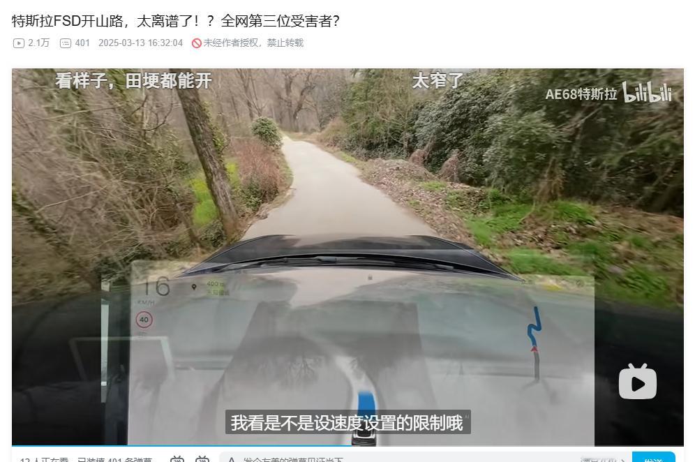 特斯拉的FSD最适合的场景，竟然是农村山路！纯视觉，无导航的农村单行道，开的竟然