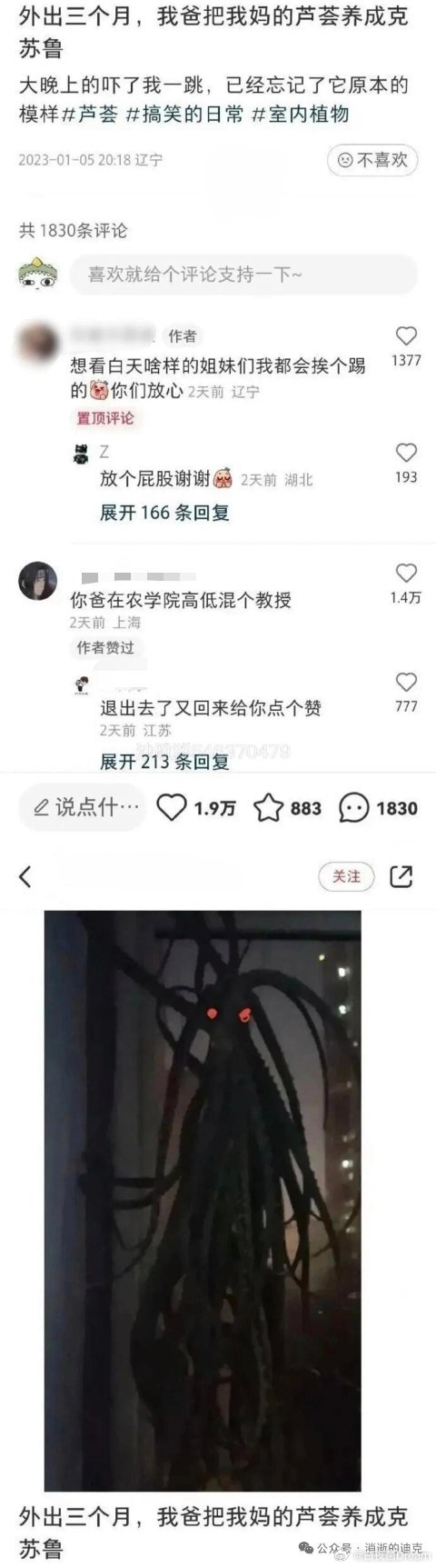 外出三个月，爸妈把芦荟养成克苏鲁