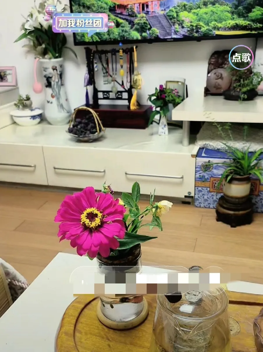 52会又延期啦？不敢开啊！柴桑大姐直播透露，这52会又难产了，估计这个月开