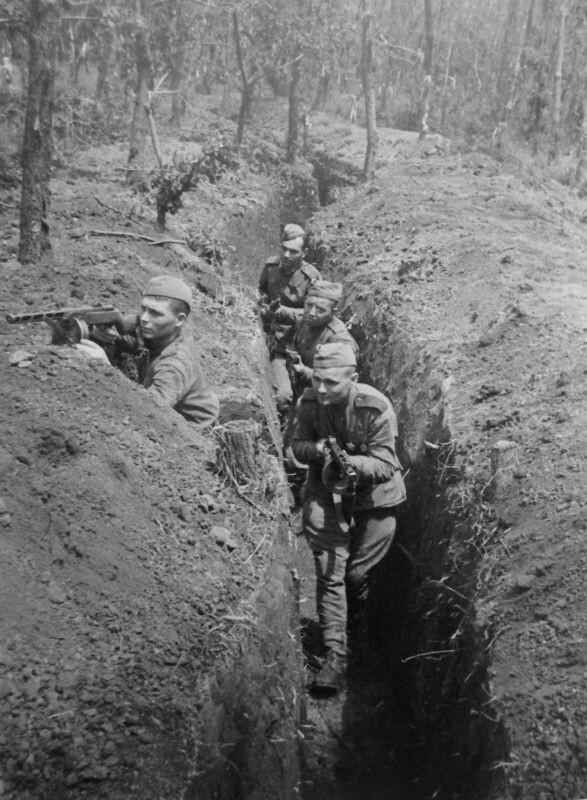 这张照片拍摄于1944年6月至8月基茨坎登陆场作战期间，记录了苏联乌