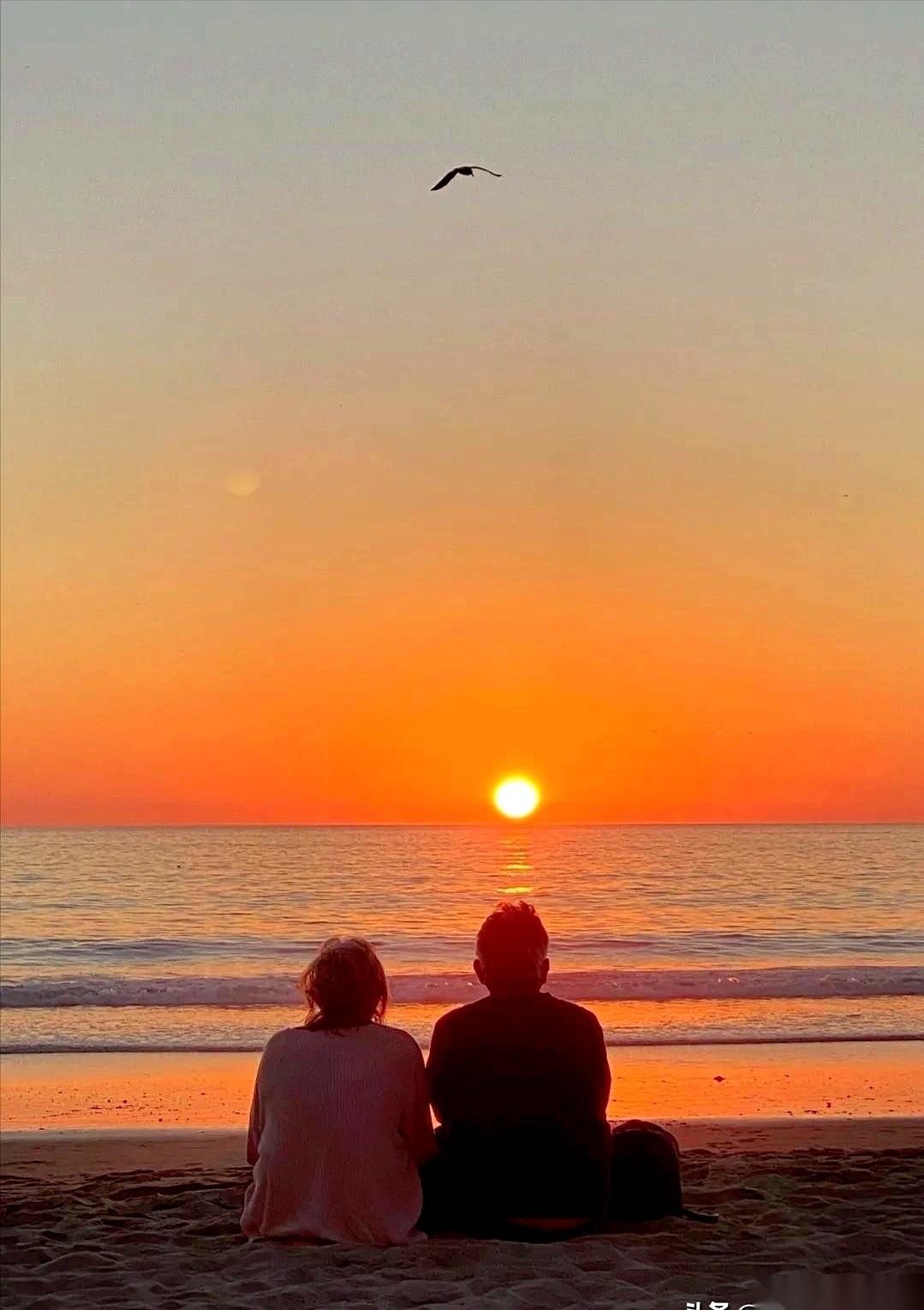 一个老前辈，塞给我一张叠得发黄的纸，说这是压箱底的宝贝，四十条规矩，保你娶个好媳