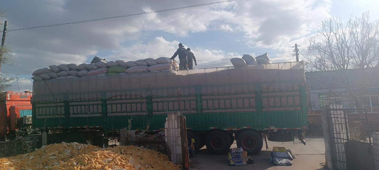 卖了这么多钱!周末回老家，正赶上大哥家卖花生，便前去帮忙。一到大哥家，我被震撼到