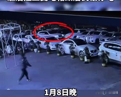 “嚣张的代价！”1月8日，四川乐山，一男子醉酒后找代驾开车，没想到代驾刚上车便嫌