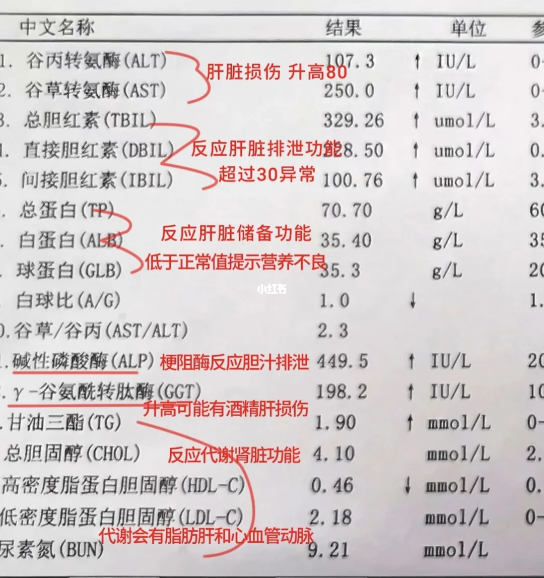 肝功能一图读懂各项含义！