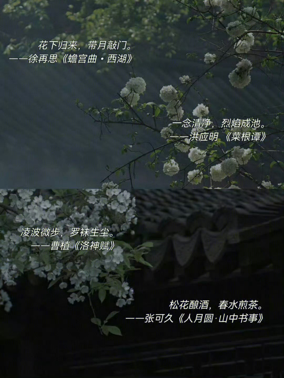 唯美惊艳的八字短句​​​