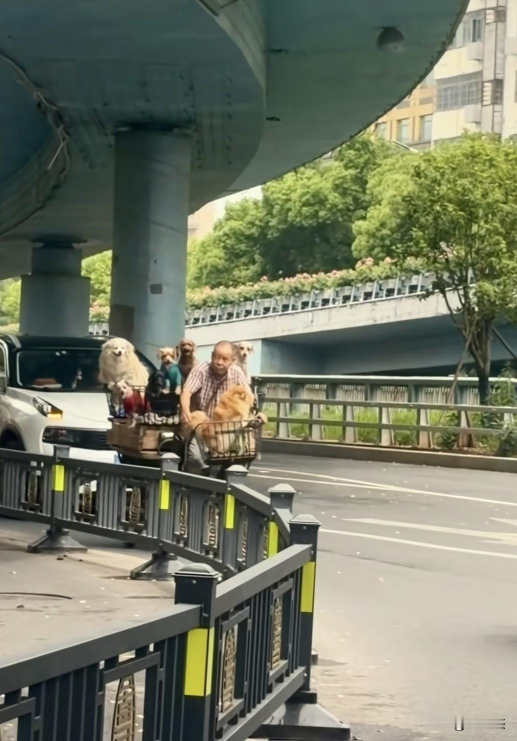 等我退休了，我也要过他一样的生活～～[赞]